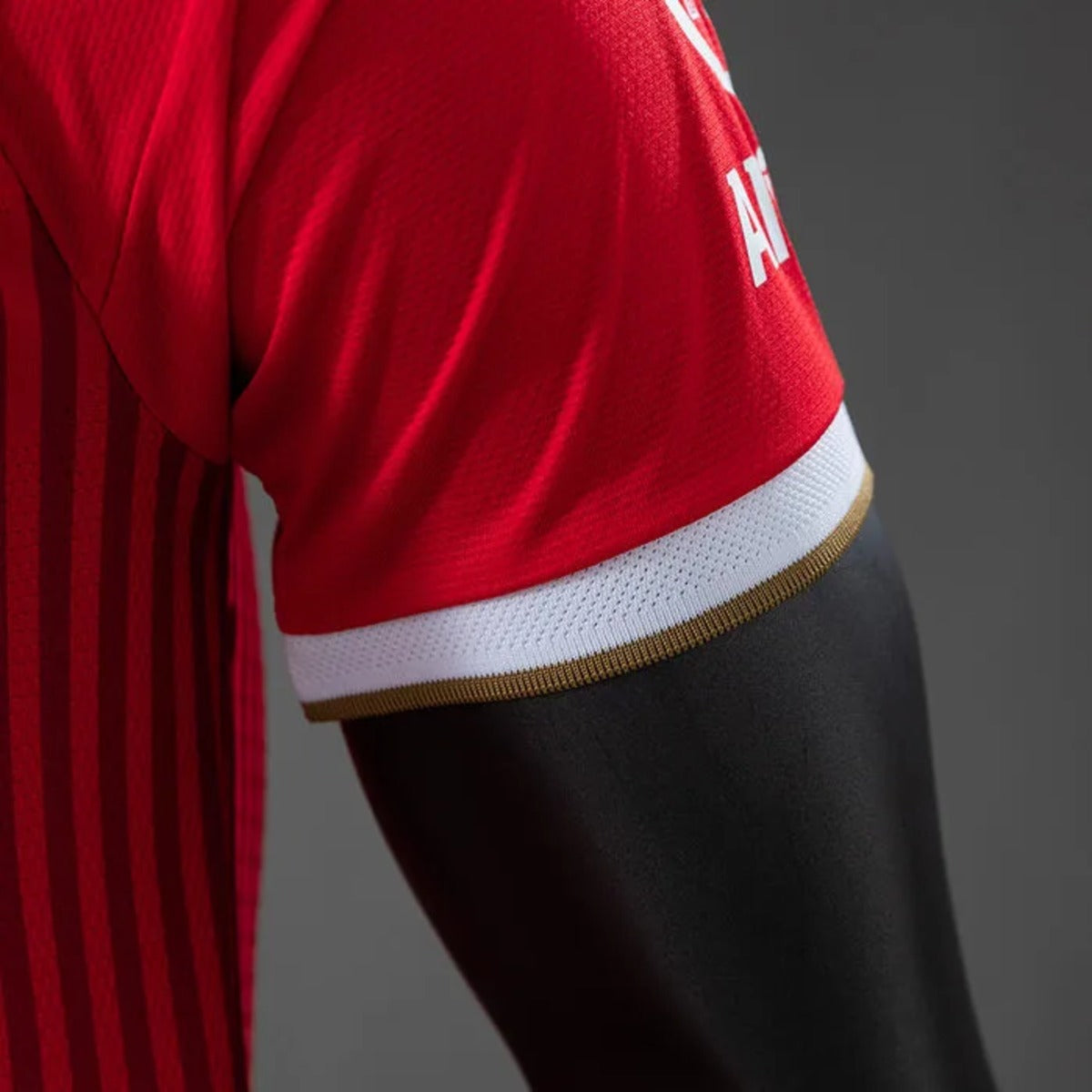 Camisola Bayern de Munique 26/27 Versão Jogador