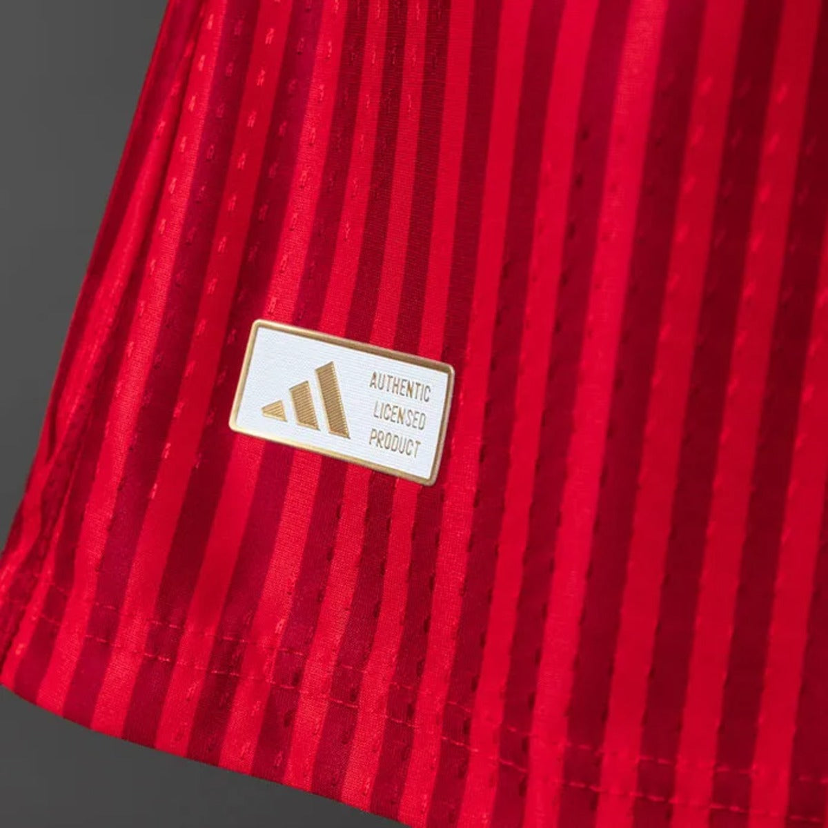Camisola Bayern de Munique 26/27 Versão Jogador