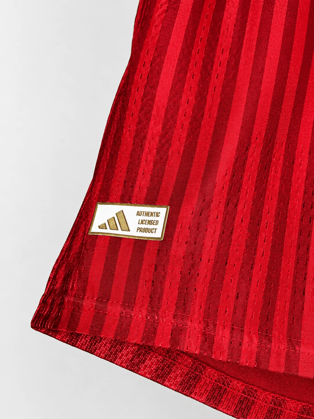 Camisola Bayern de Munique 26/27 Versão Jogador